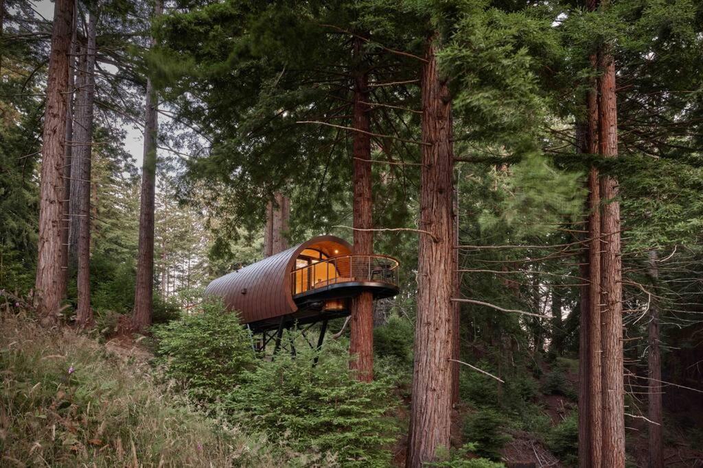 ~* The Spectacular Spyglass Treehouse *~ Occidental Bagian luar foto
